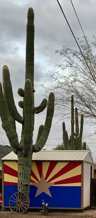 Jan 5 -  Arizona flag mural painted on a neighbor's shed. Looks great with the saguaros and wagon wheel.